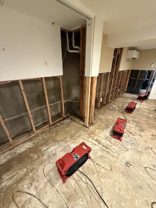 Tomcon Restoration Picture 6