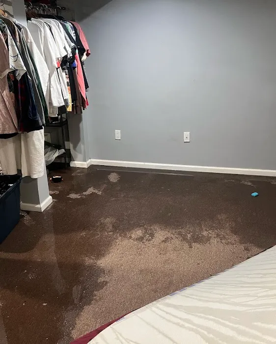 Alfa Restoration Water Damage Restoration Long Island Picture 8