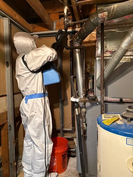 Alfa Restoration Water Damage Restoration Long Island Picture 1