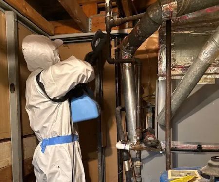 Alfa Restoration Water Damage Restoration Long Island