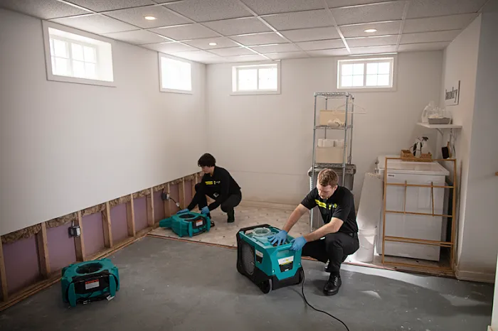 ServiceMaster Fire and Water Cleanup Picture 8