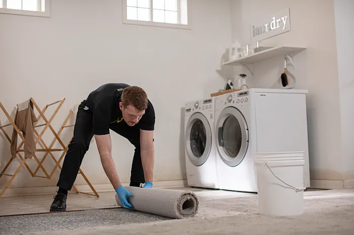 ServiceMaster Fire and Water Cleanup Picture 4