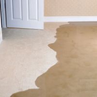 Paul Davis Restoration of Central Long Island ico