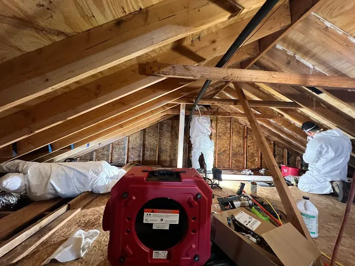 Dutton Restoration of Long Island – Water, Mold, Asbestos Picture 7