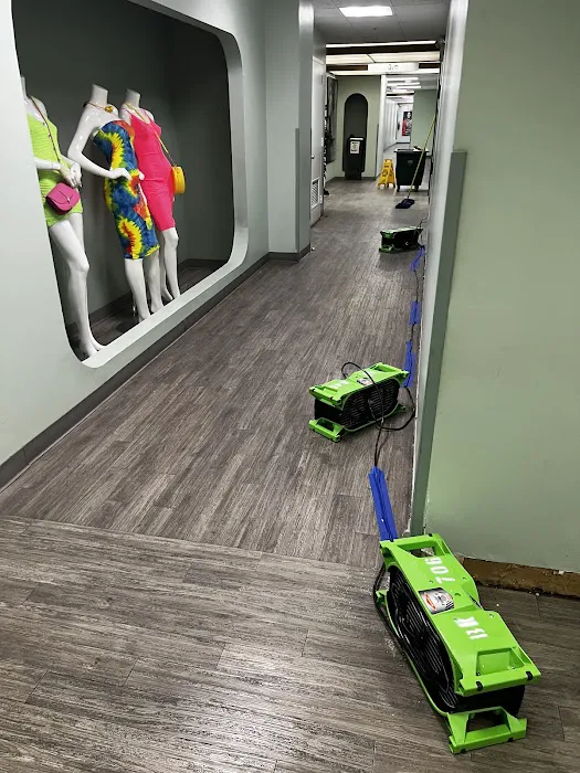 Dutton Restoration of Long Island – Water, Mold, Asbestos Picture 9