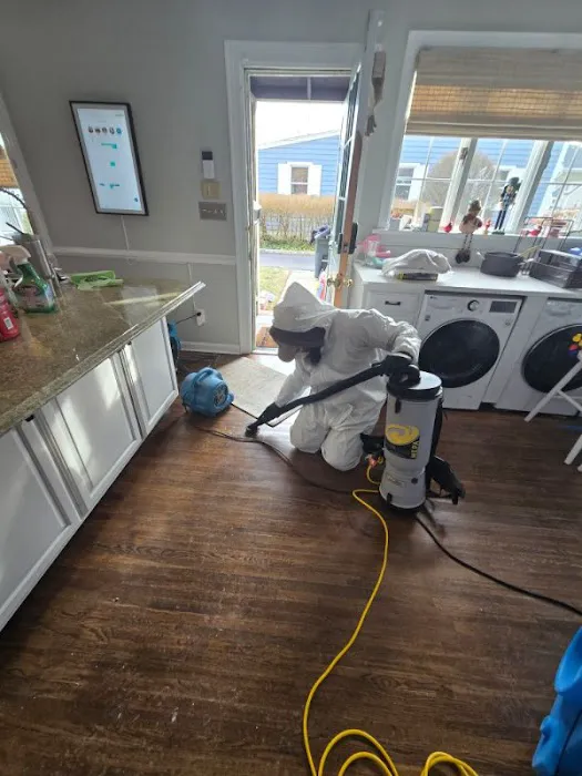 Bright Side Restoration, Inc. Picture 10