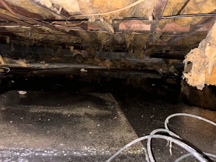 Bright Side Restoration, Inc. Picture 7