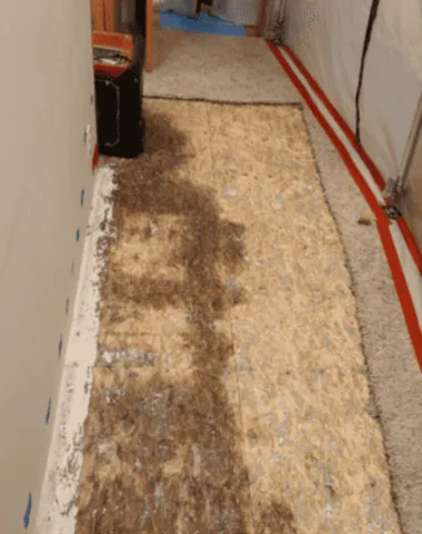 Smithtown Water Damage Restoration Picture 6