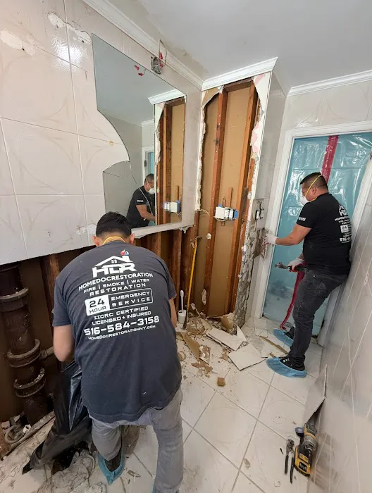 HomeDoc Restoration Picture 3