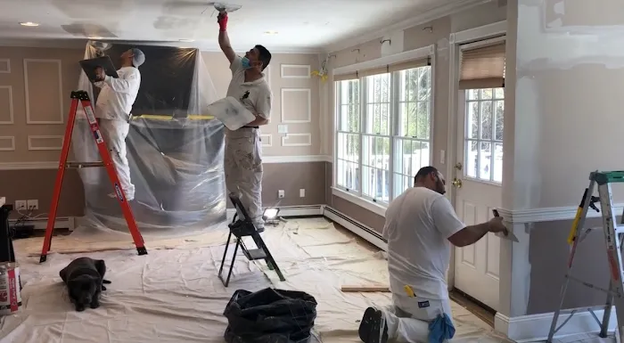 HomeDoc Restoration Picture 4