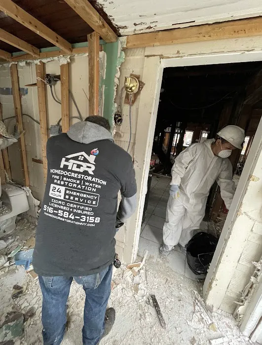 HomeDoc Restoration Picture 8