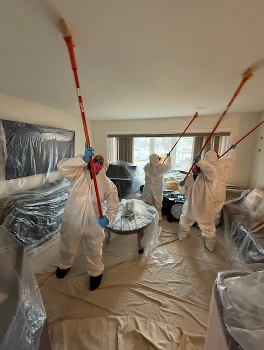 HomeDoc Restoration Picture 1