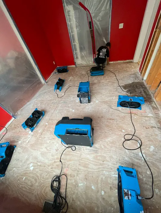 HomeDoc Restoration Picture 9