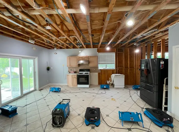 HomeDoc Restoration Picture 5