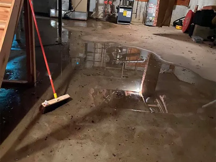 Magic home restoration Picture 4