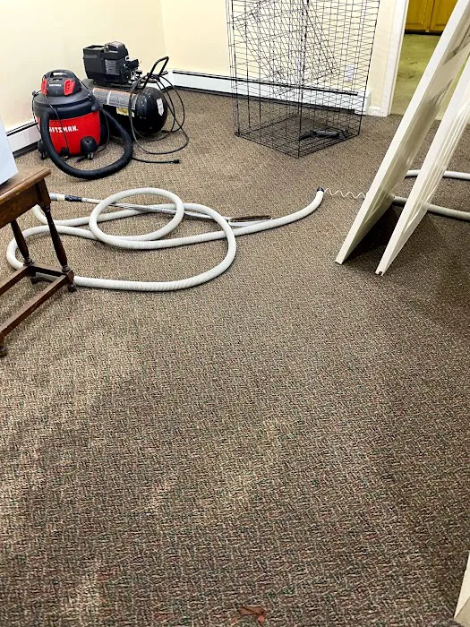 Magic home restoration Picture 10