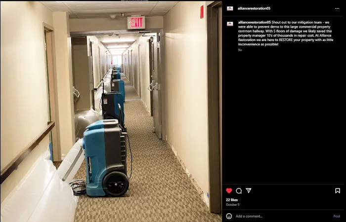 Alliance Restoration Picture 6