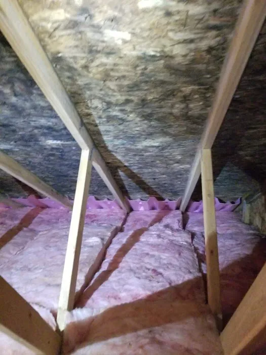 Alliance Restoration Picture 5