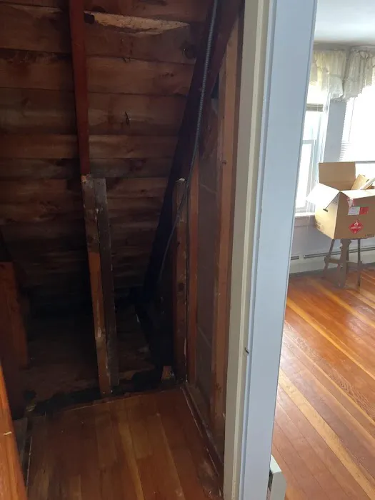 Pristine Mold & Water Damage Restoration Picture 4