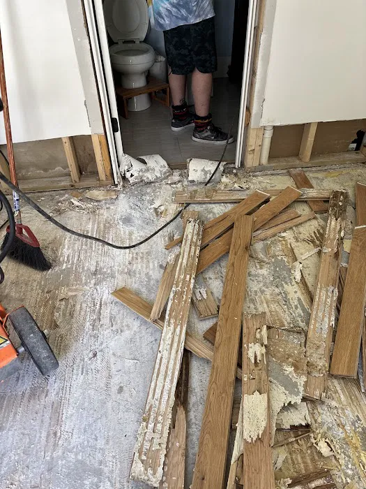 Pristine Mold & Water Damage Restoration Picture 3