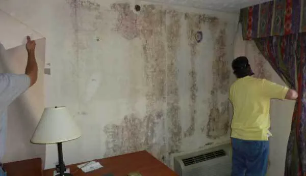 Pristine Mold & Water Damage Restoration Picture 9