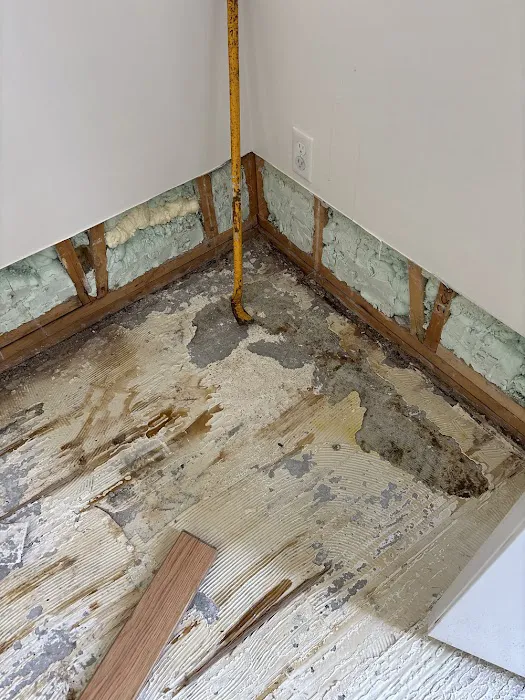 Pristine Mold & Water Damage Restoration Picture 8