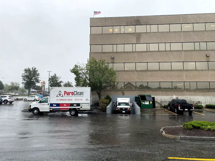 PuroClean Certified Restoration Specialists Picture 4