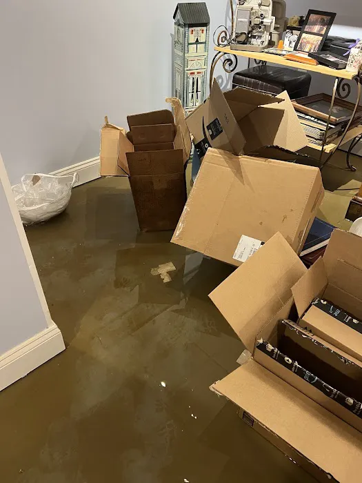 Single Source Disaster Recovery Specialists Picture 7