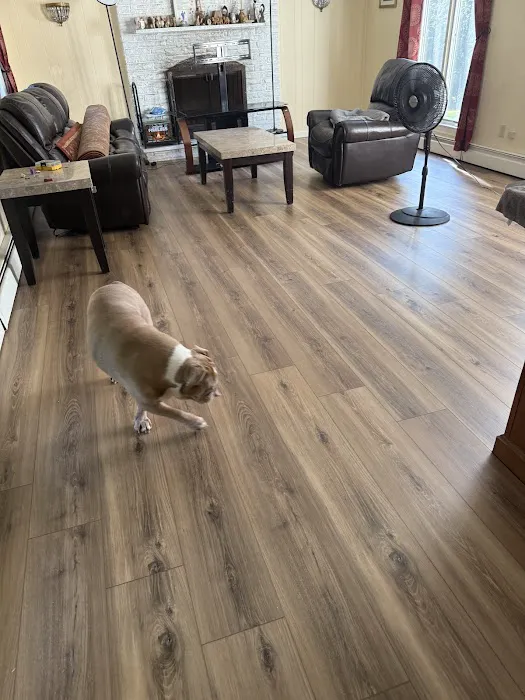 Single Source Disaster Recovery Specialists Picture 2