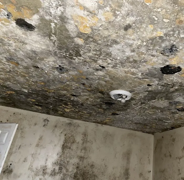 SERVPRO of Patchogue, Brookhaven Picture 9