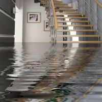 Water Damage Removal Suffolk County ico
