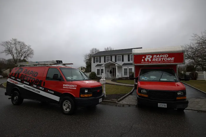 Rapid Restoration Picture 6