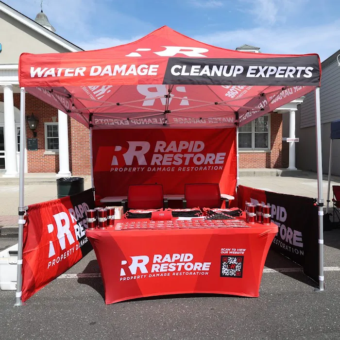 Rapid Restoration Picture 5