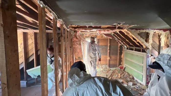 Rapid Restoration Picture 1