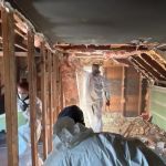 Rapid Restoration