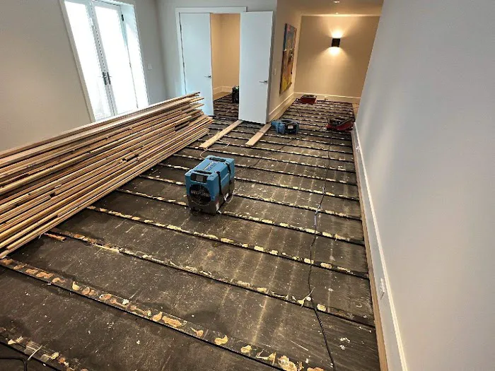 Rapid Restoration Picture 9