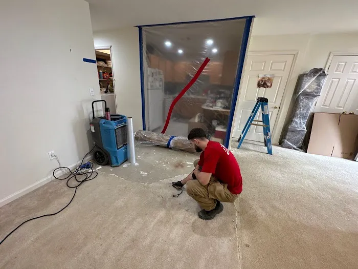 Rapid Restoration Picture 10