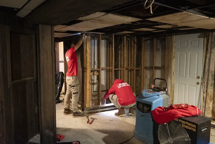 Rapid Restoration Picture 8