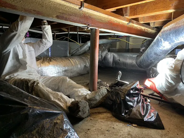 Elite Restoration and Construction Inc Picture 3