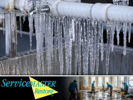 ServiceMaster by American Restoration Services Picture 7