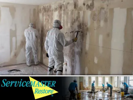 ServiceMaster by American Restoration Services Picture 6