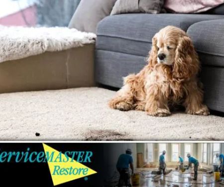 ServiceMaster by American Restoration Services