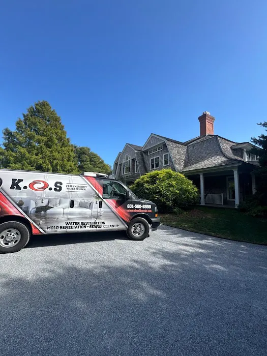 KOS Restoration Picture 6