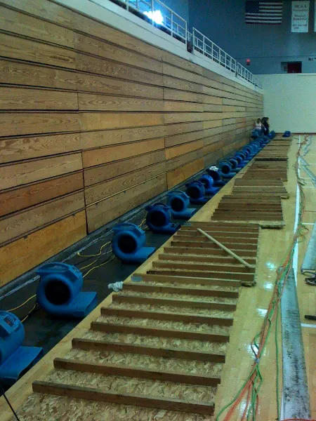 Island Catastrophe Environmental Restoration, Inc. Picture 3