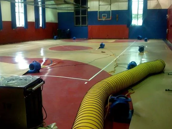 Island Catastrophe Environmental Restoration, Inc. Picture 4