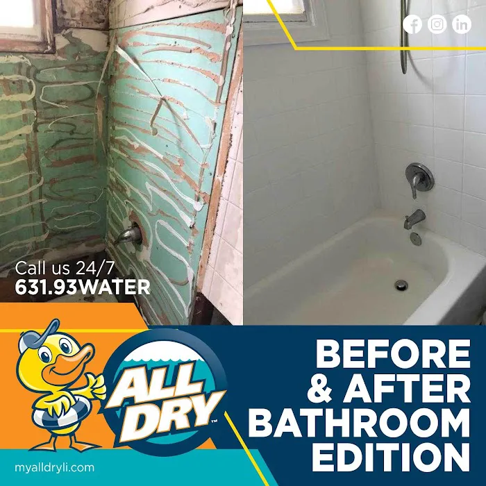 All Dry Services East End of Long Island Picture 3