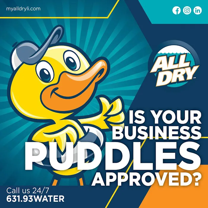 All Dry Services East End of Long Island Picture 7