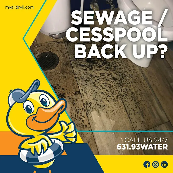 All Dry Services East End of Long Island Picture 6