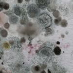 ITS Environmental Services, Inc.