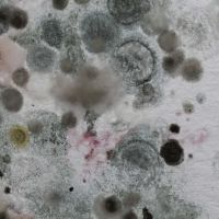 ITS Environmental Services, Inc. ico